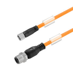 M12 male - M8 socket