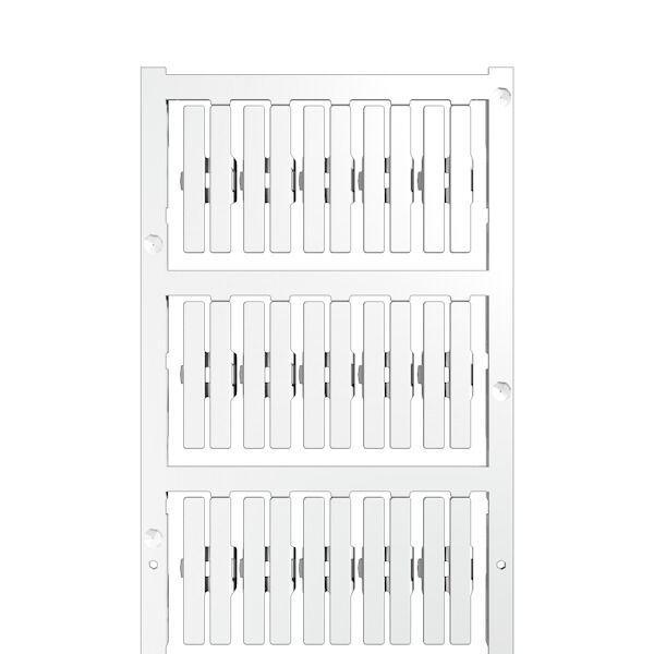 SFC-DS 1/30 MC NE WS