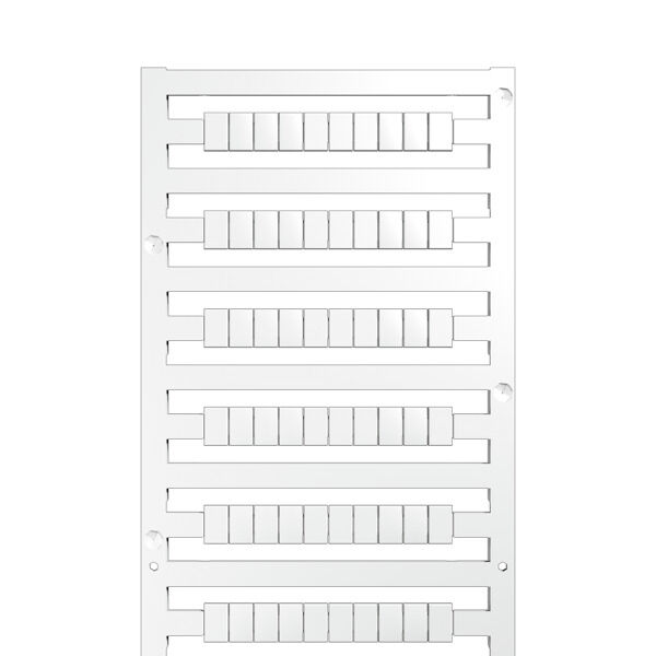 WS 8/5 PLUS MC NE WS