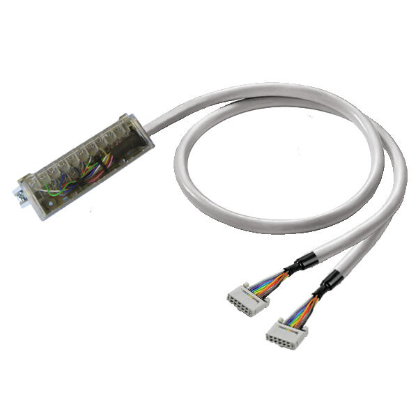 PAC-PREM-2X10-V0-1M