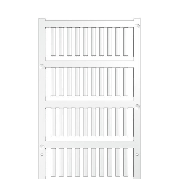 VT SF 1/21 MC NE WS V0