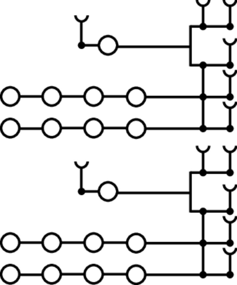 SET AAP12 10/2.5/10C