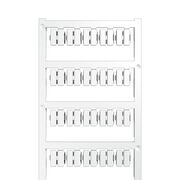 SFC-DS 1/12 MC NE WS