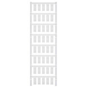 ESG 8/19 MC NE WS 5CRDX40