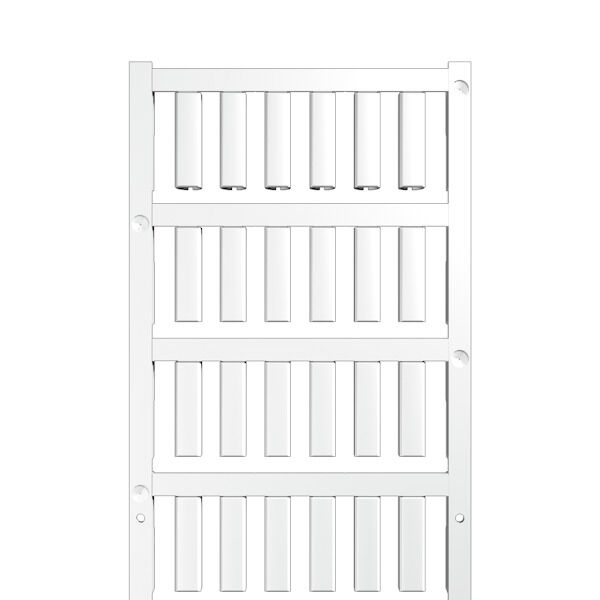 标记号 SF 4/21 MC NE WS V2