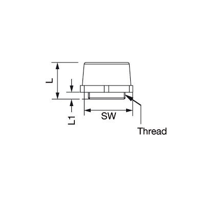 TAPON DRENAJE EWS M25X1.5