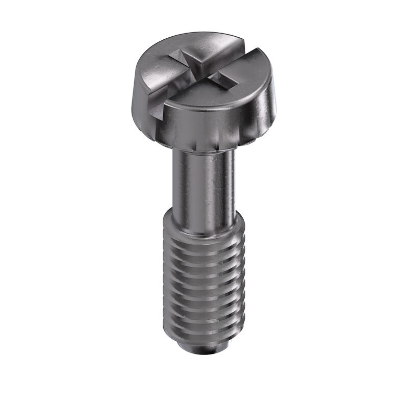 HDC FIXING SCREW M3X10