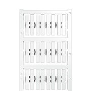 SFC-DS 2/30 MC NE WS