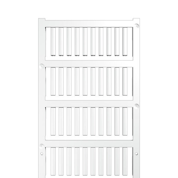 VT SF 00/21 MC NE WS V0