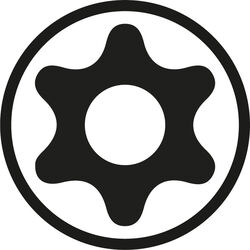 Torx&reg; TR screwdriver (tamper-proof)