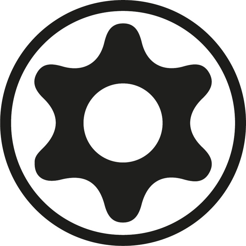 Torx&reg; TR screwdriver (tamper-proof)