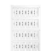 SFC-DS 2/21 MC NE WS