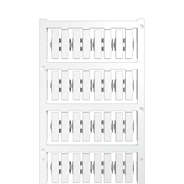 SFC-DS 2/21 MC NE WS