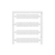 WS 12/8 PLUS MC NE WS