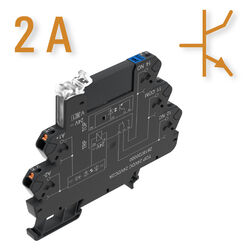 Ausführungen mit Ausgang 3...33 V DC 2 A