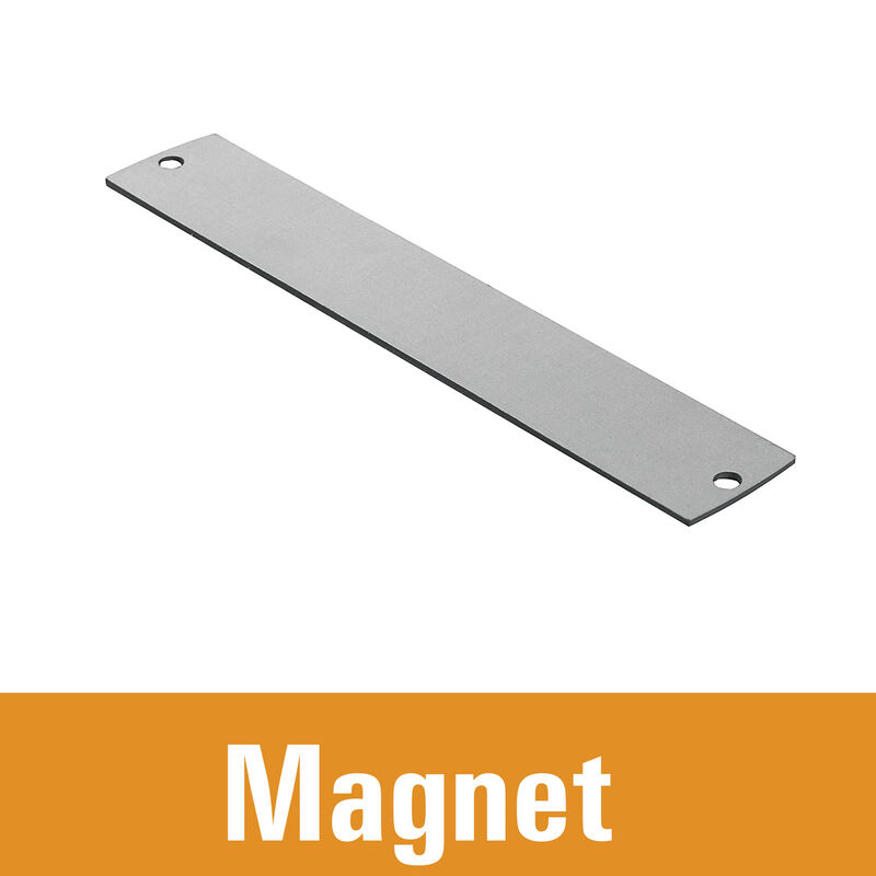 Magnet