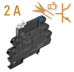 Ausführung mit Ausgang 3...33 V DC 2 A (Aktor)