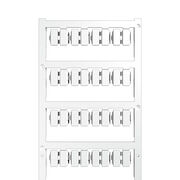 SFC-DS 2/12 MC NE WS