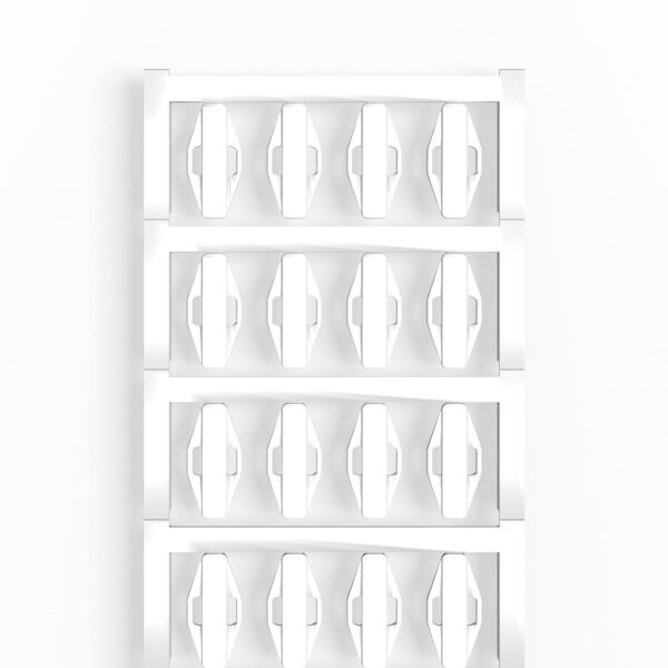 VT SFX 10/23 MC NE WS V0