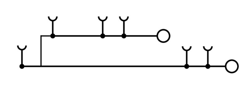 SPGTB 2.5 2T VL 4C/2
