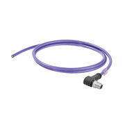 IE-C6EB8BV0050XCAXXX-X