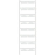 ELS 6/30 MC NE WS 5CRDX16