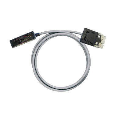 PAC-RX3I-RV36-V0-10M