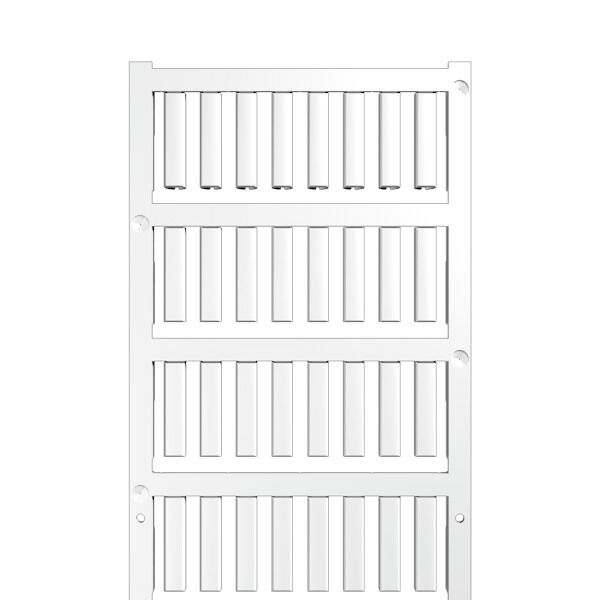 VT SF 3/21 MC NE WS V0